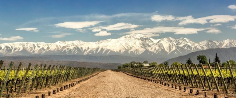 Malbec is a fantastic red wine with no “mal bouche”