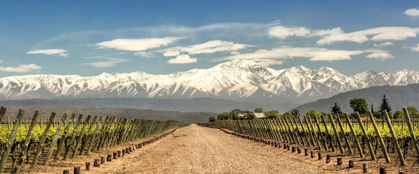 Mendoza high altitude ideal for growing Malbec