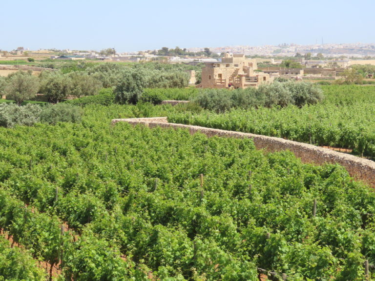 Visit Malta: The wines are awesome!