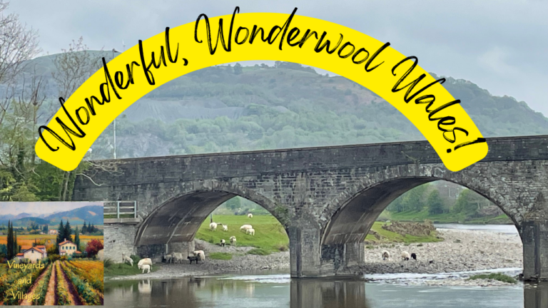 Our Campervan adventure to Wonderwool Wales