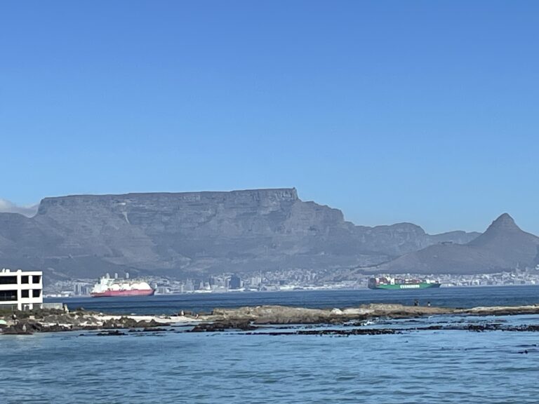 🍺 Sip of the Week: Striped Horse Beers – A Cape Town Surprise Worth Galloping After