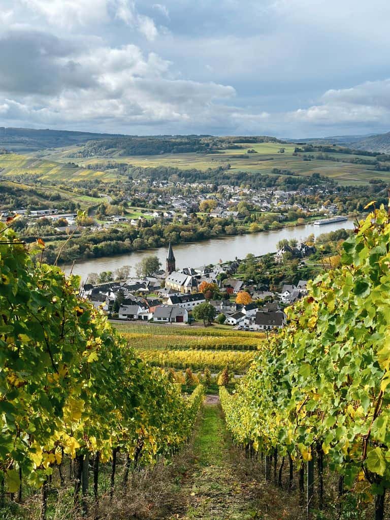 A beautiful vineyard scene overlooking a quaint German village beside a river.
