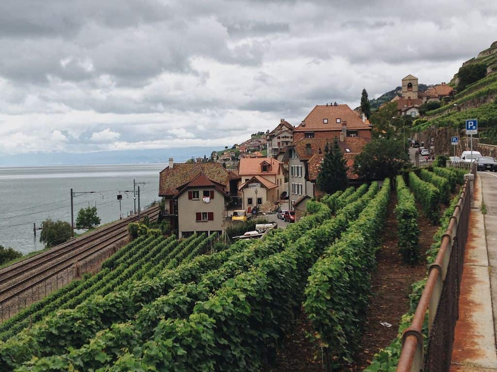 Picturesque vineyard with terraced hills and charming houses near a lake under cloudy skies.
