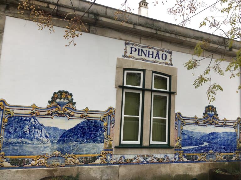 Discover the wine regions of Portugal